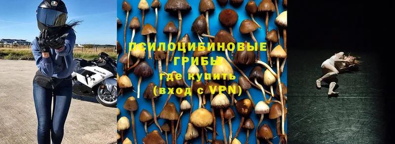 сайты даркнета какой сайт  Невельск  Галлюциногенные грибы прущие грибы 